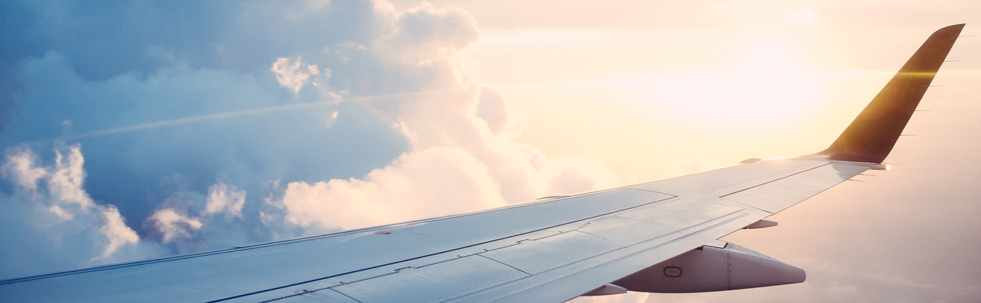 Flexed International Citizen Driving Aeroplane Wing Cropped